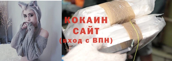 спайс Нея