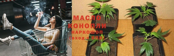 спайс Нея