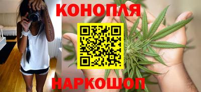 сатива Заводоуковск