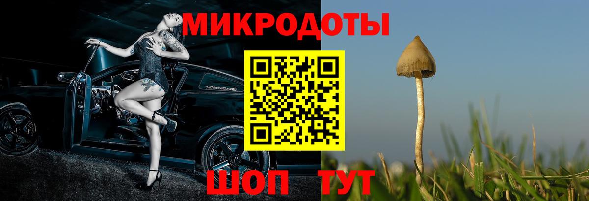 Галлюциногенные грибы мухоморы  купить наркоту  Саратов 